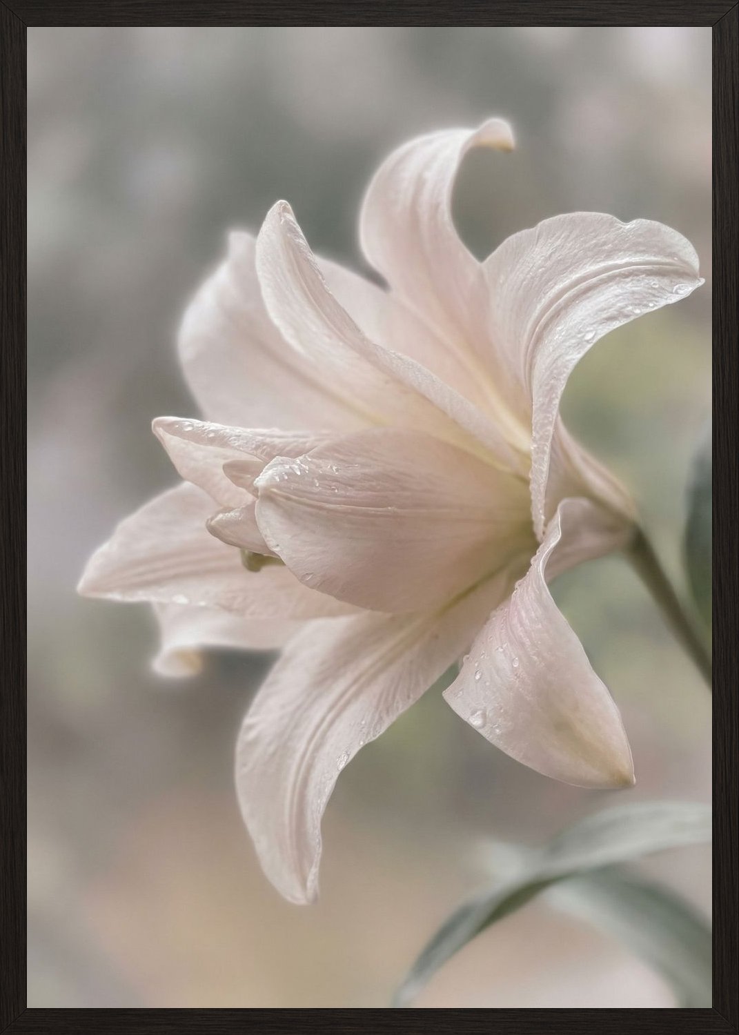 Poster in black frame