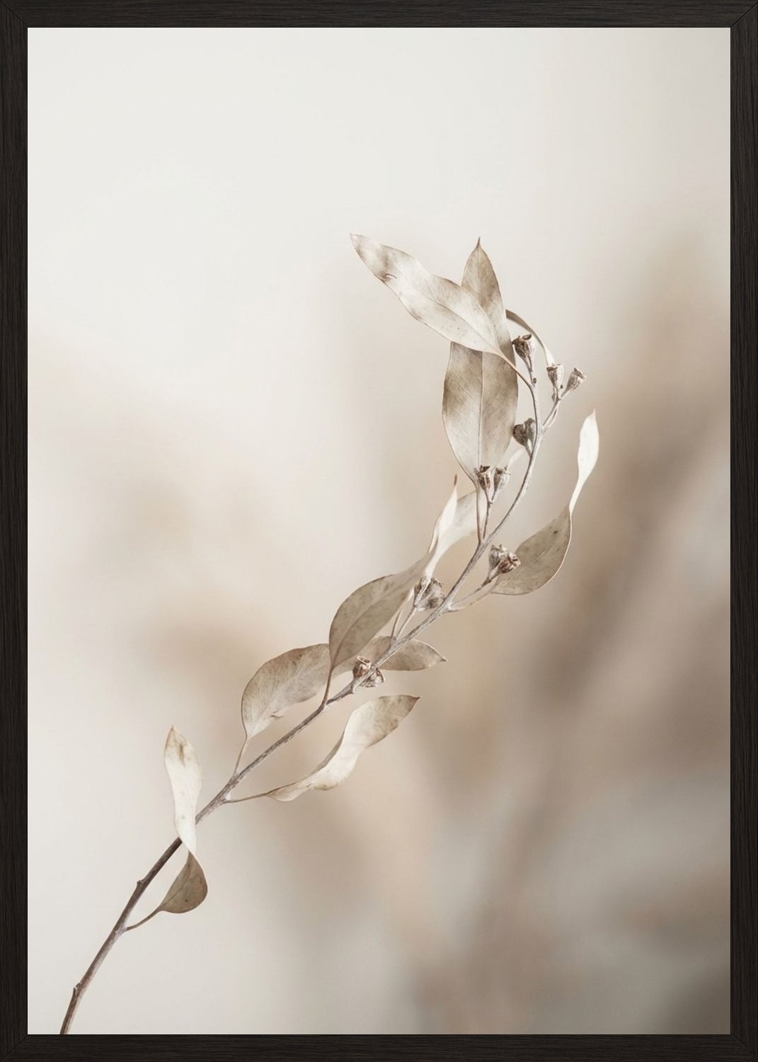 Poster in black frame