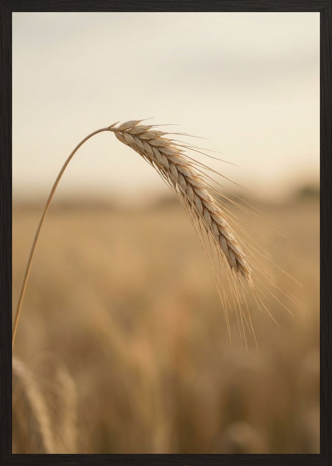 Poster in black frame