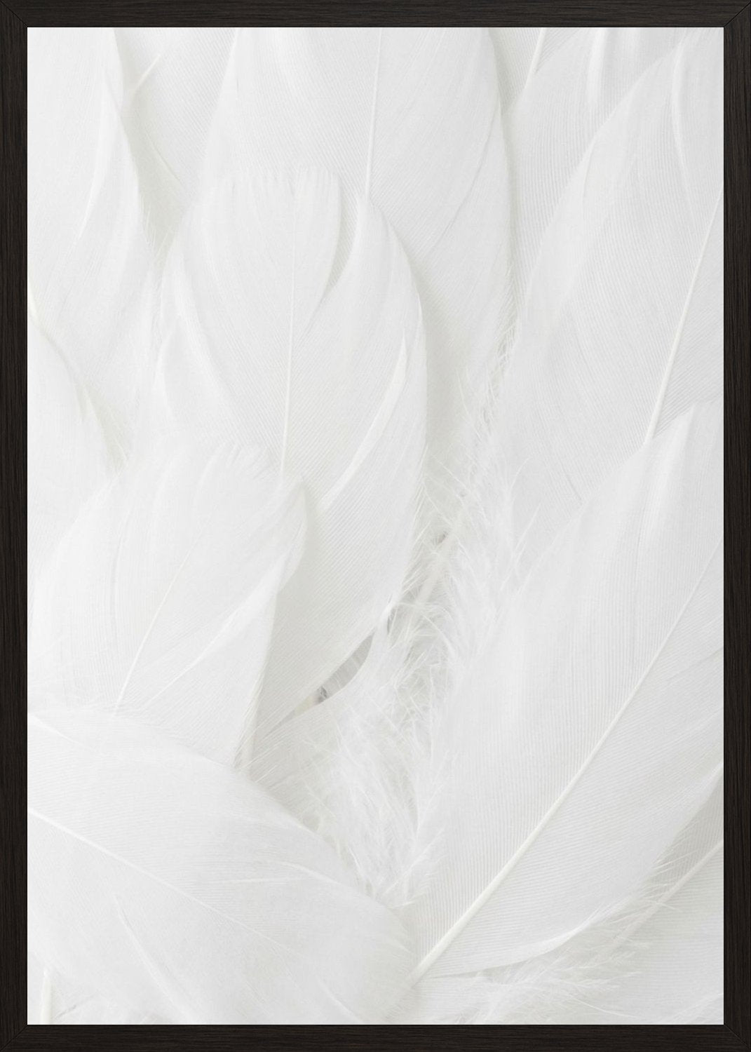Poster in black frame