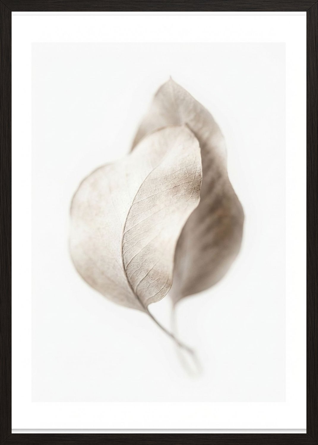 Poster in black frame