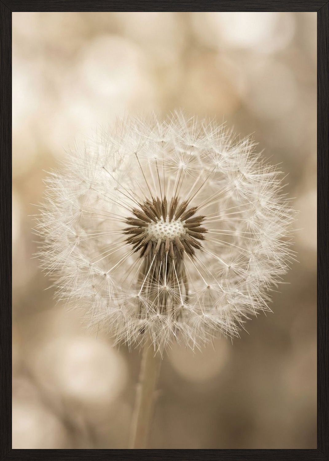 Poster in black frame