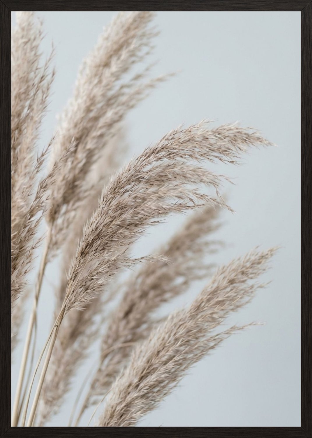 Poster in black frame