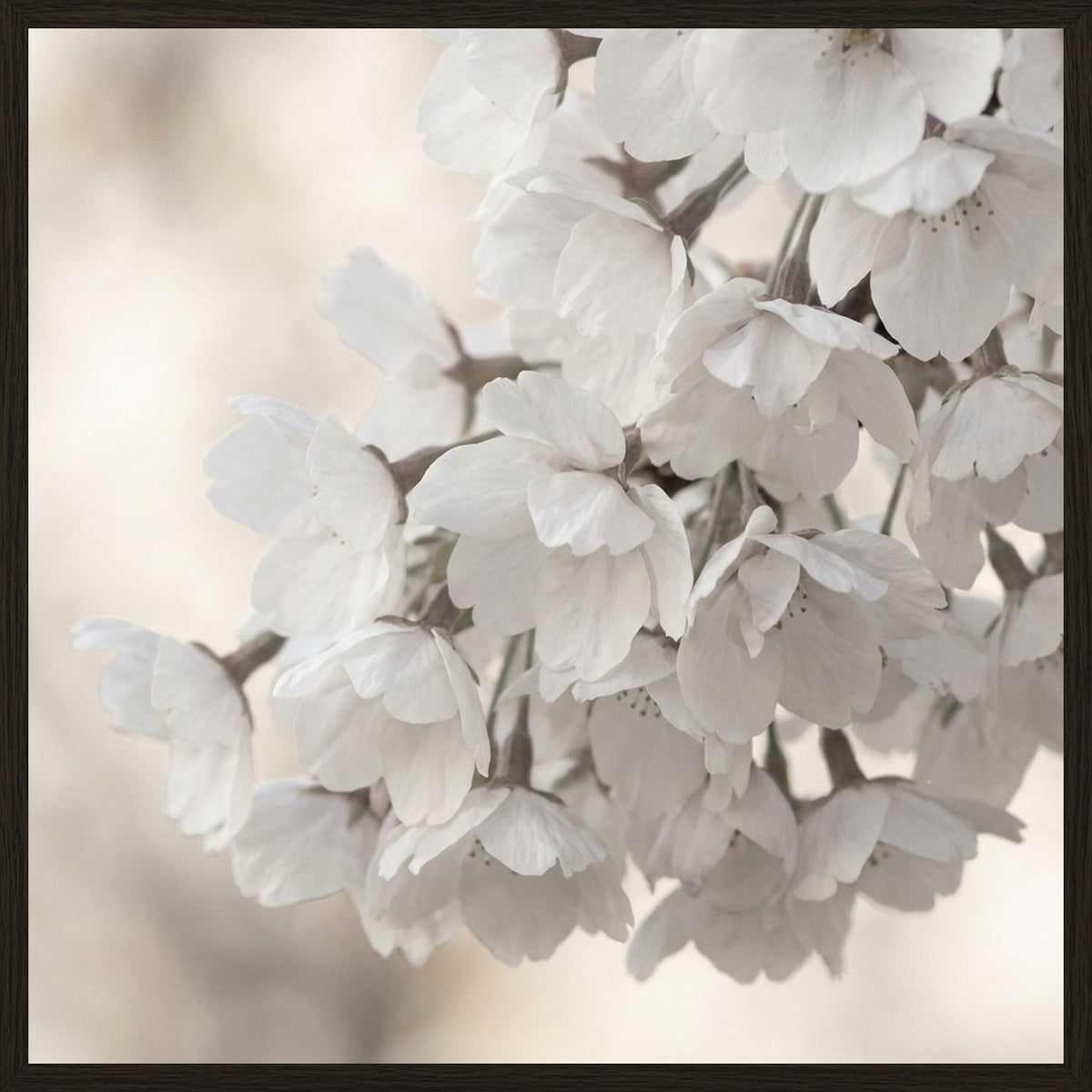 Poster in black frame