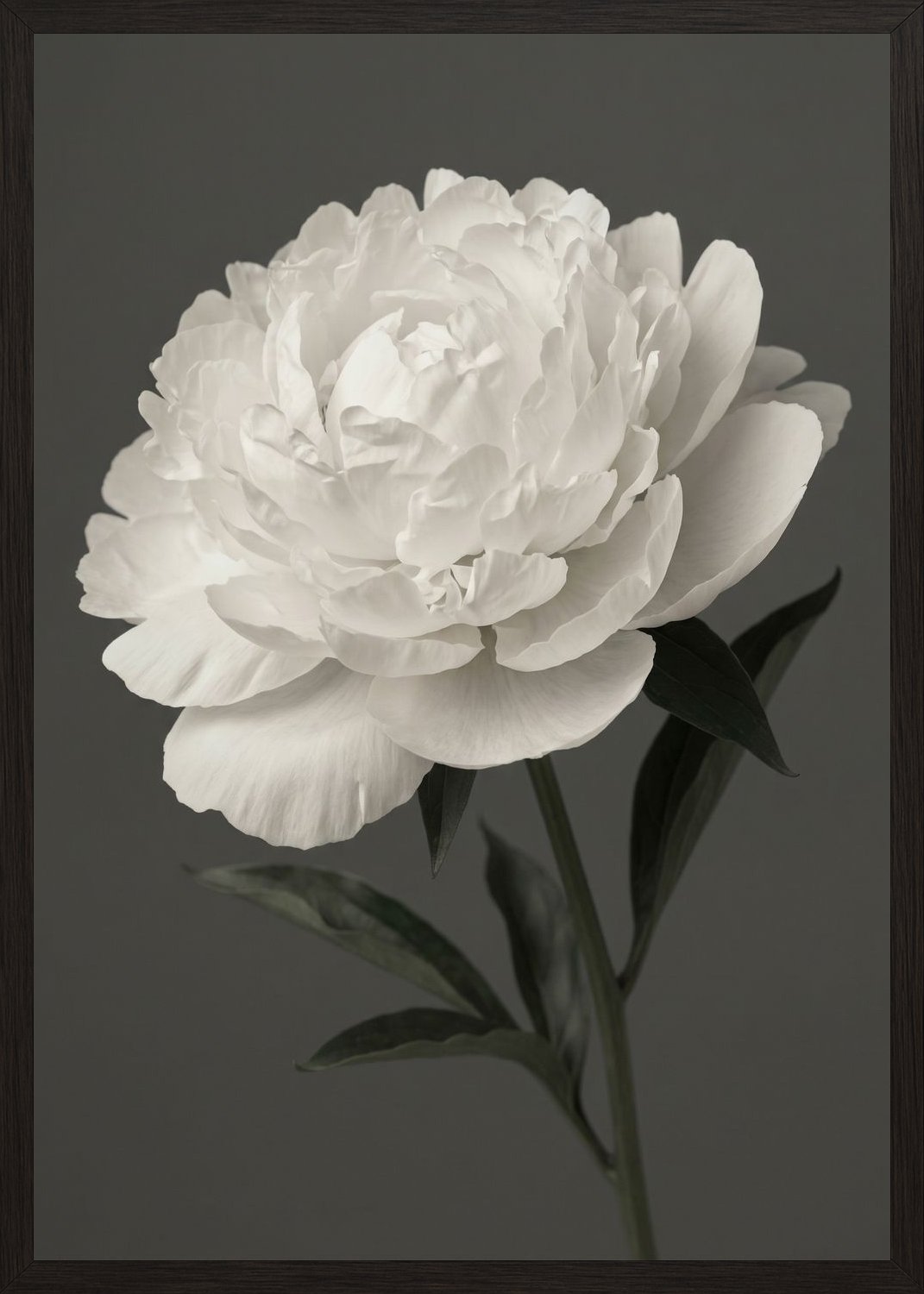 Poster in black frame