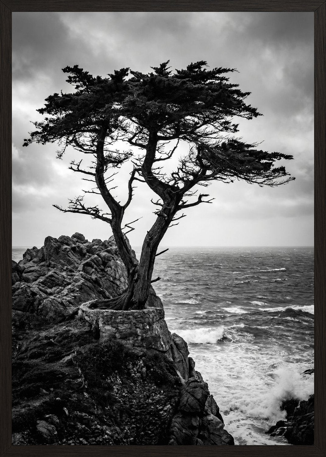 Poster in black frame