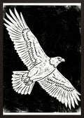 Poster in black frame