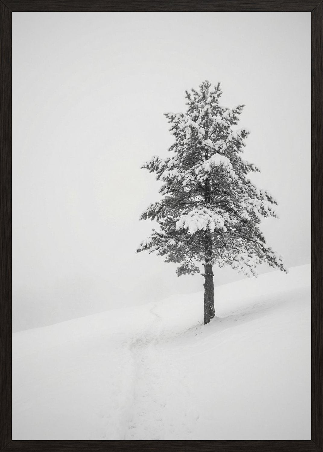 Poster in black frame