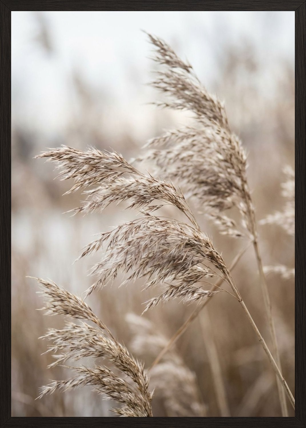 Poster in black frame
