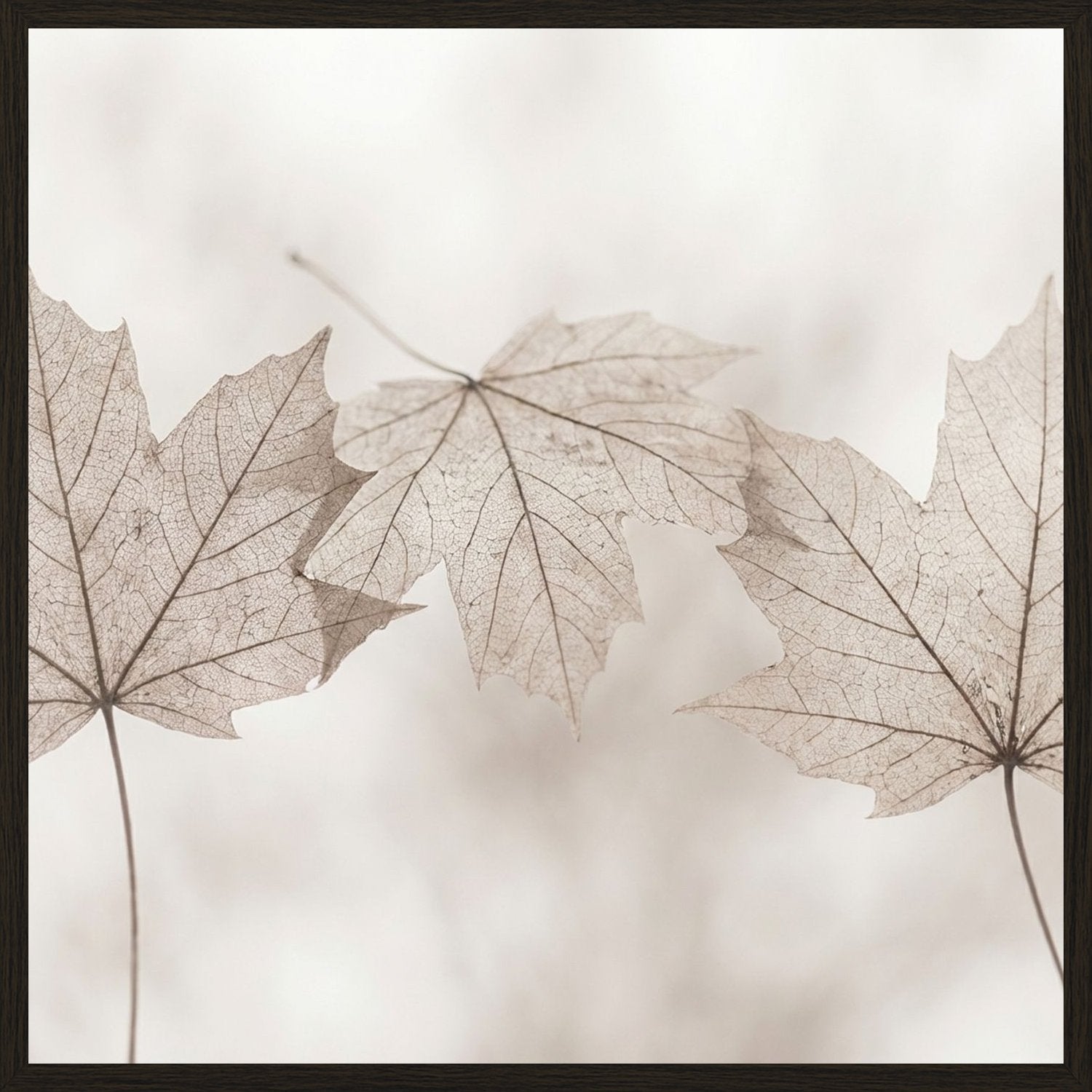 Poster in black frame