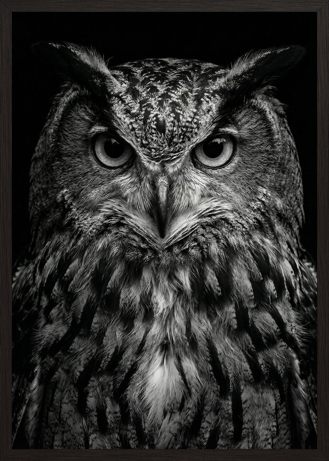 Poster in black frame