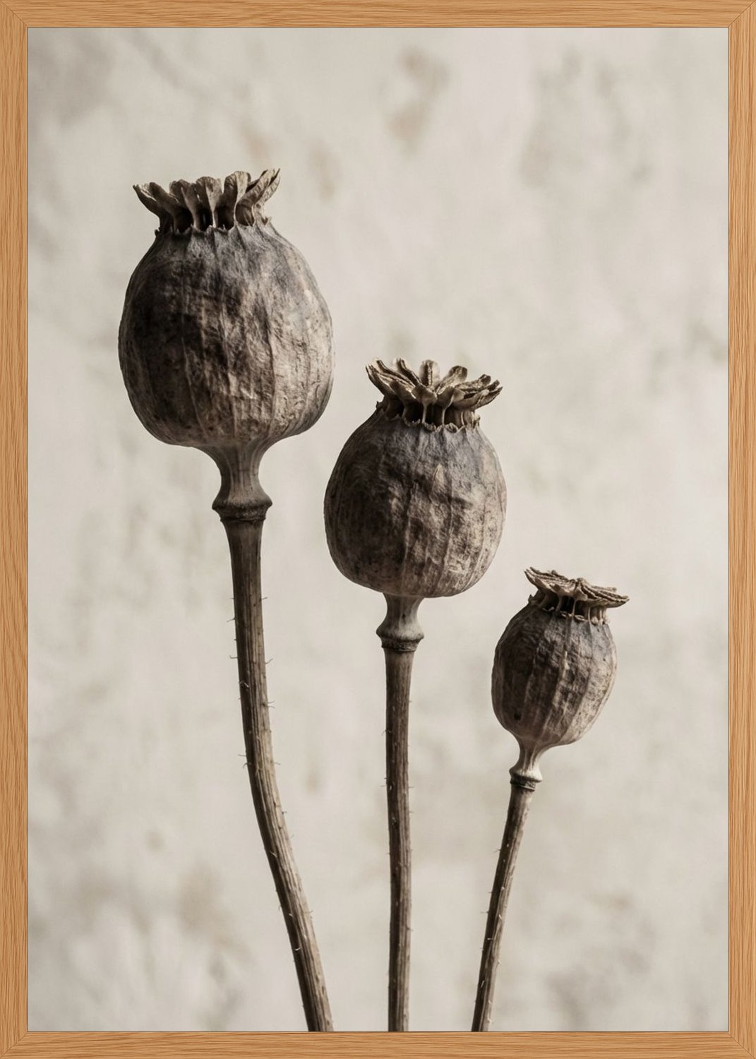 Poster in oak frame