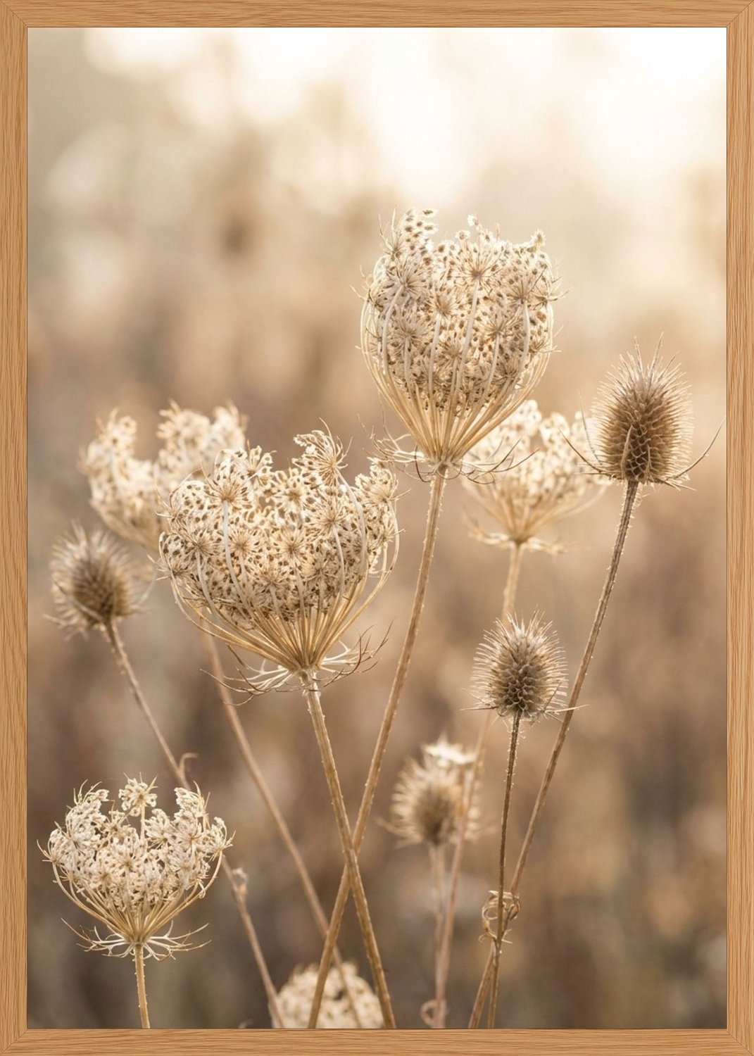 Poster in oak frame