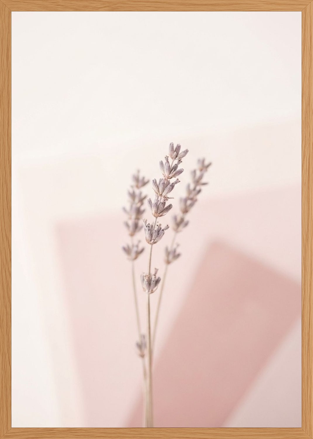 Poster in oak frame