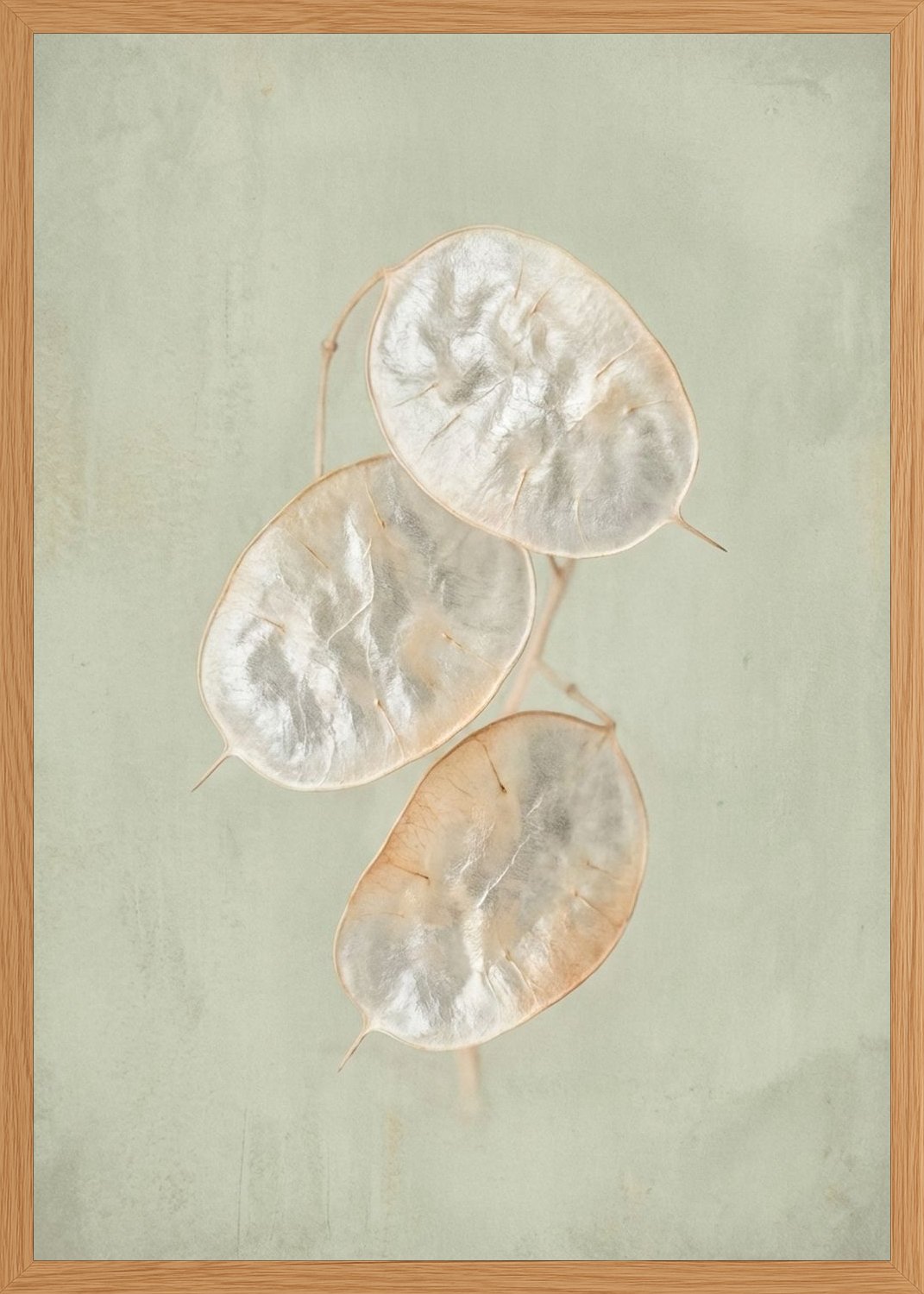 Poster in oak frame