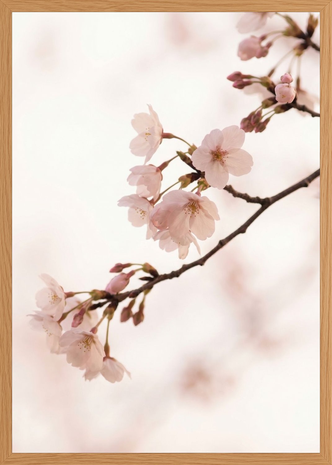 Poster print file