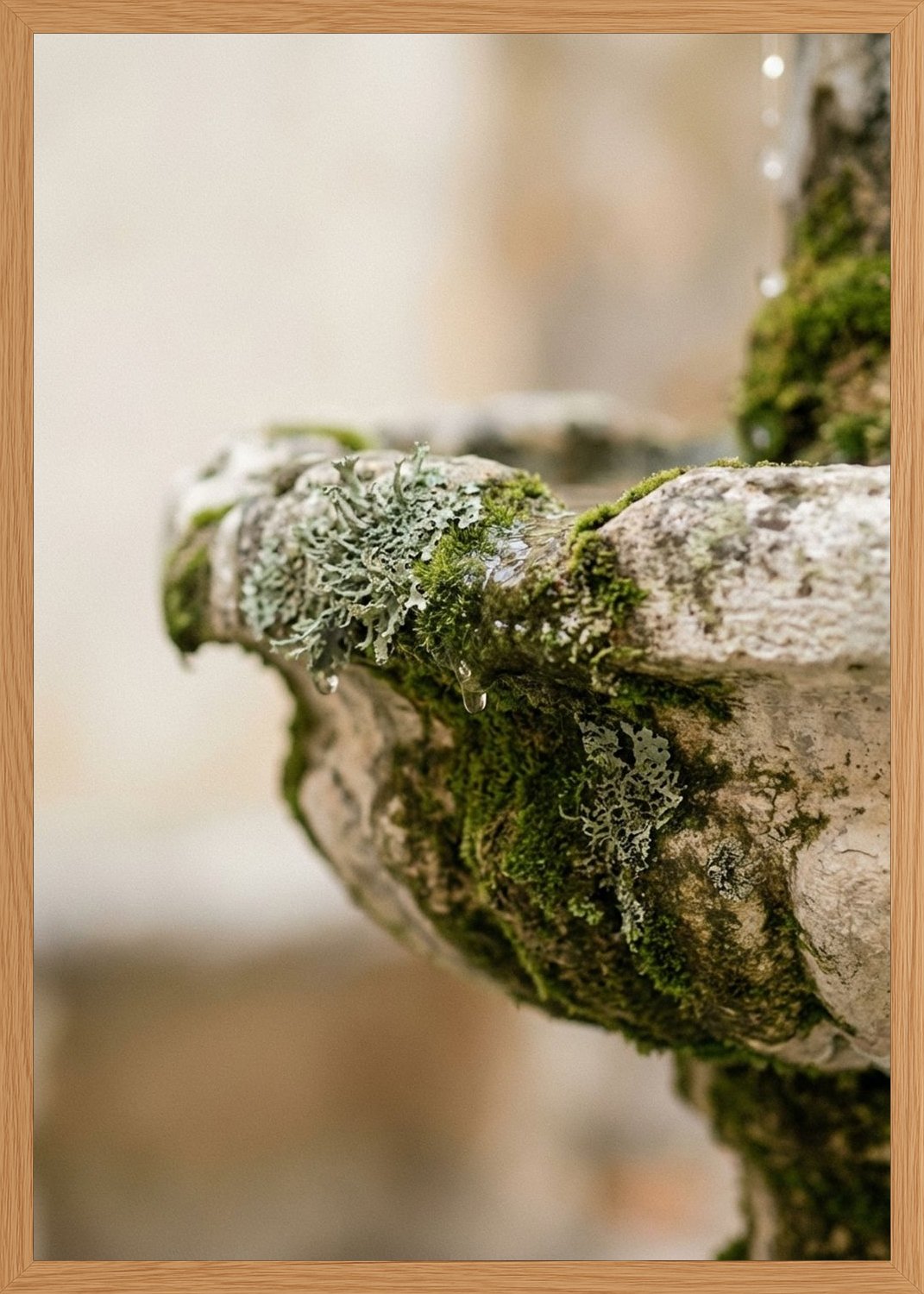 Poster in oak frame
