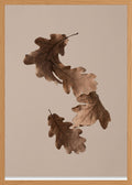 Poster in oak frame