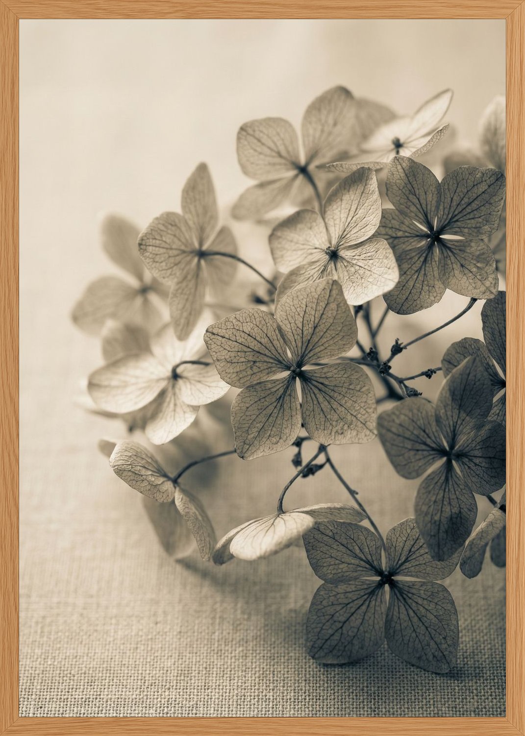 Poster in oak frame