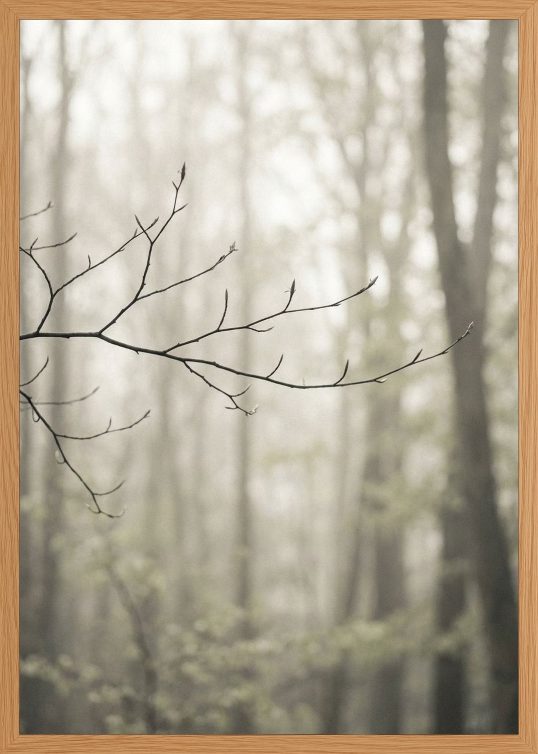 Poster in oak frame