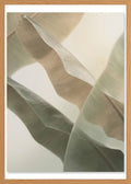 Poster in oak frame