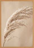 Poster in oak frame