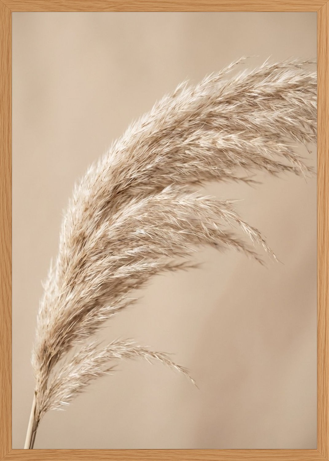 Poster in oak frame