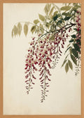 Poster in oak frame