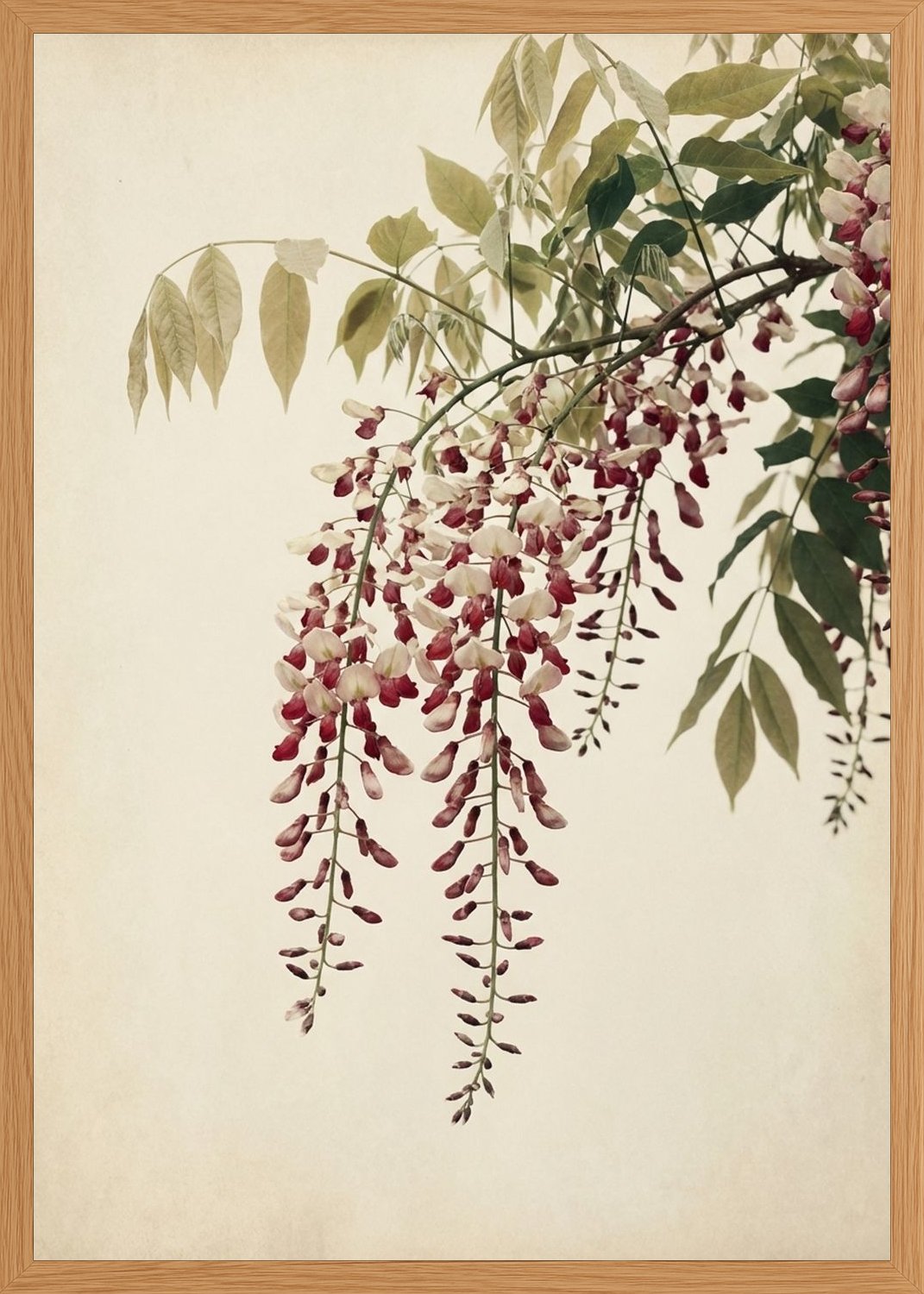 Poster in oak frame