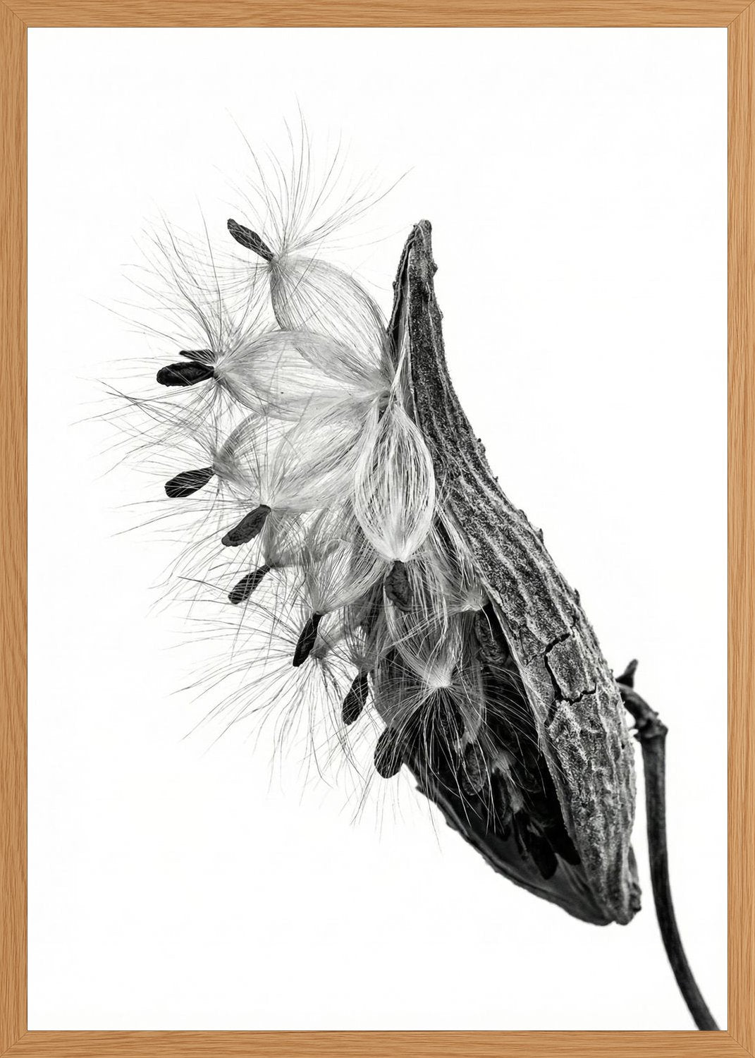 Poster print file