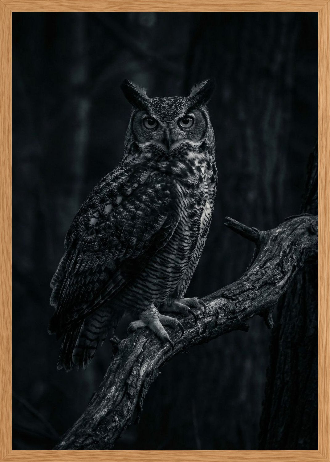 Poster in oak frame