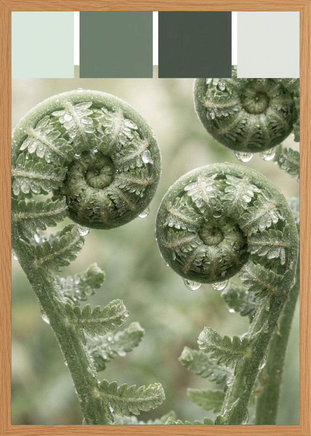 Poster in oak frame