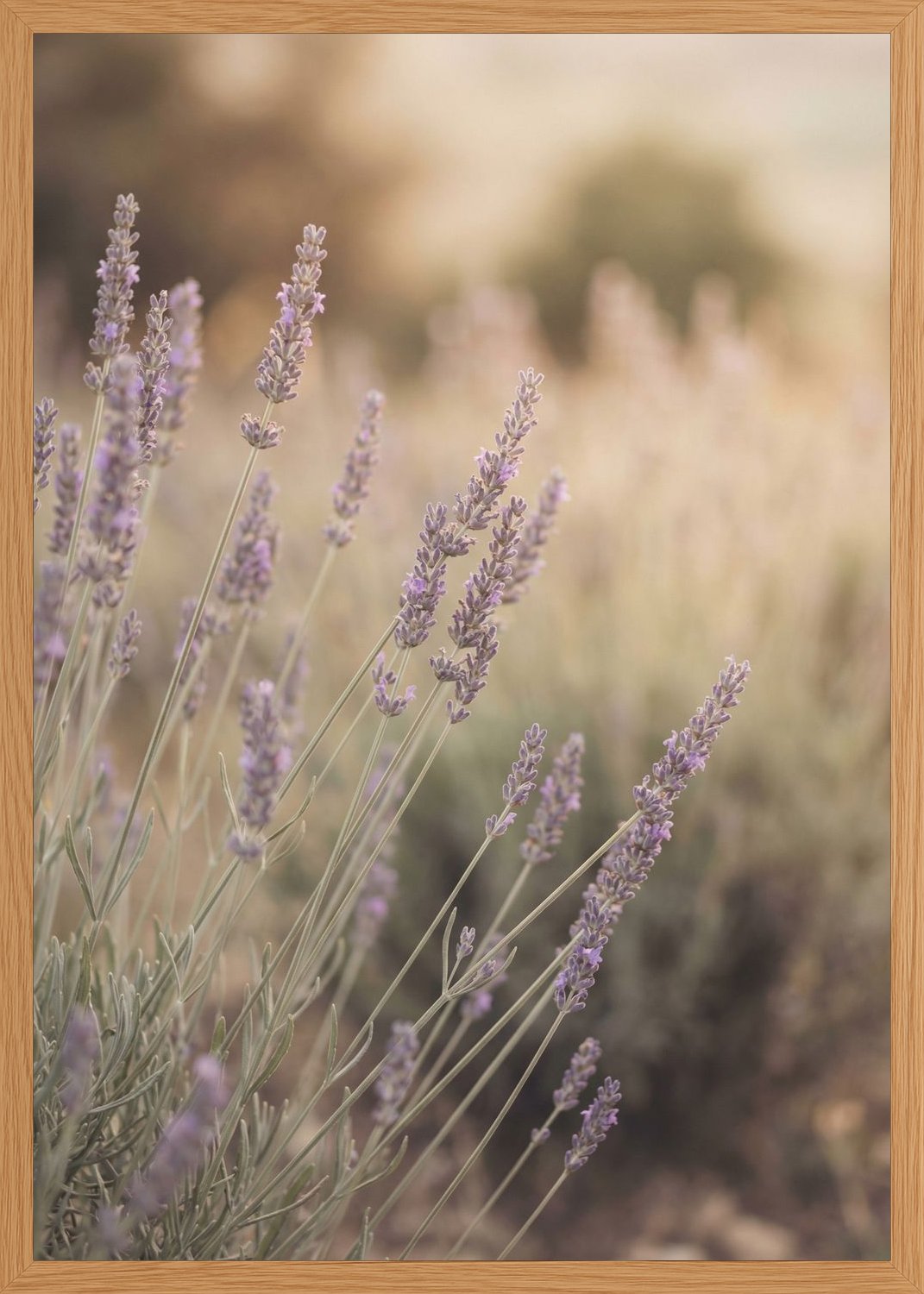 Poster print file