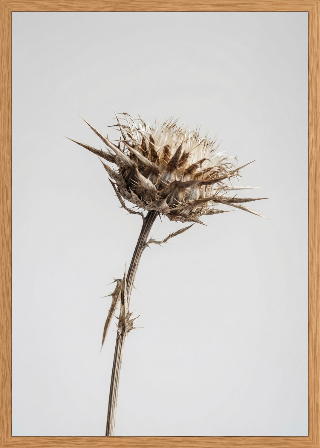 Poster print file