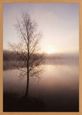 Poster in oak frame