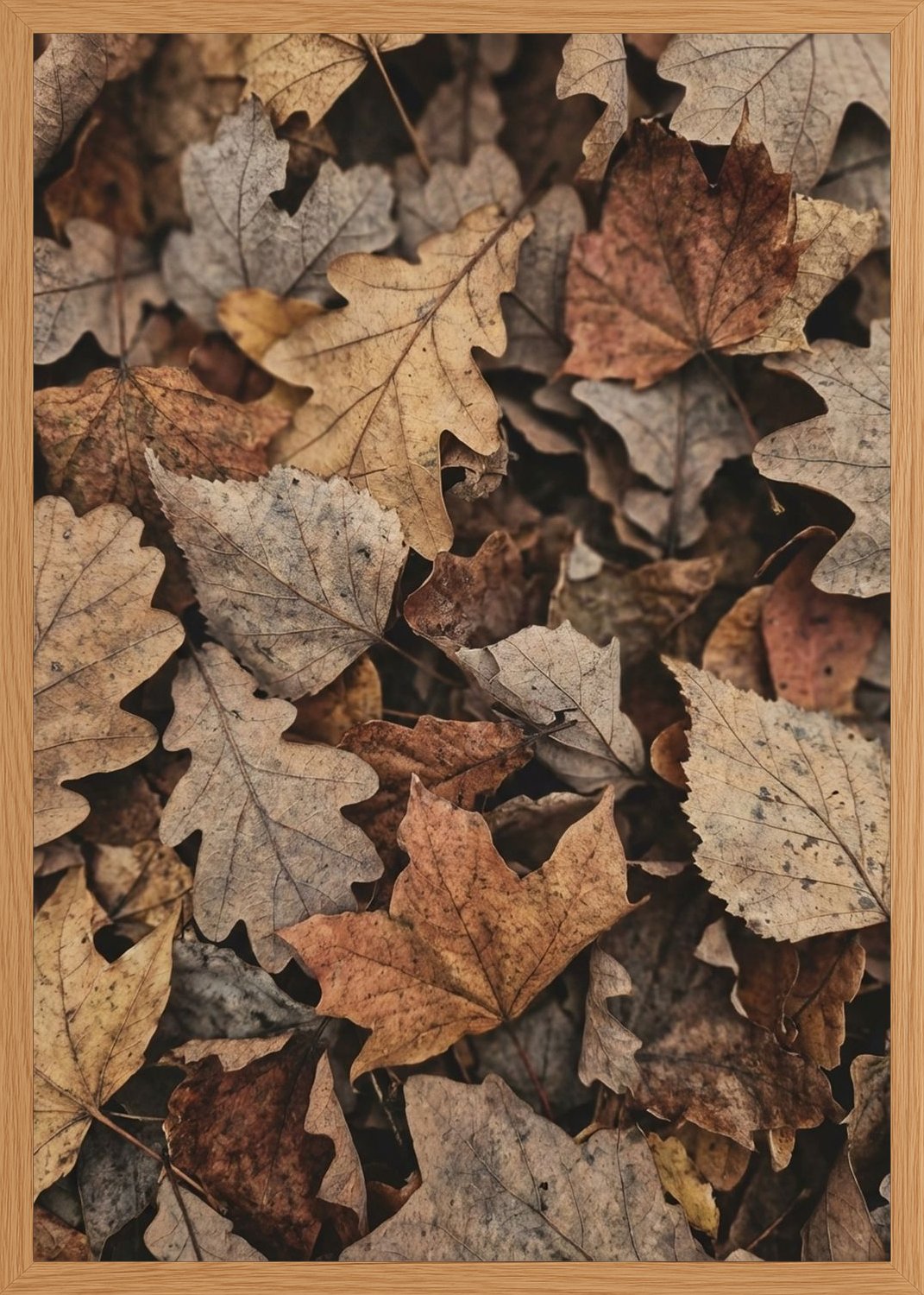 Poster in oak frame