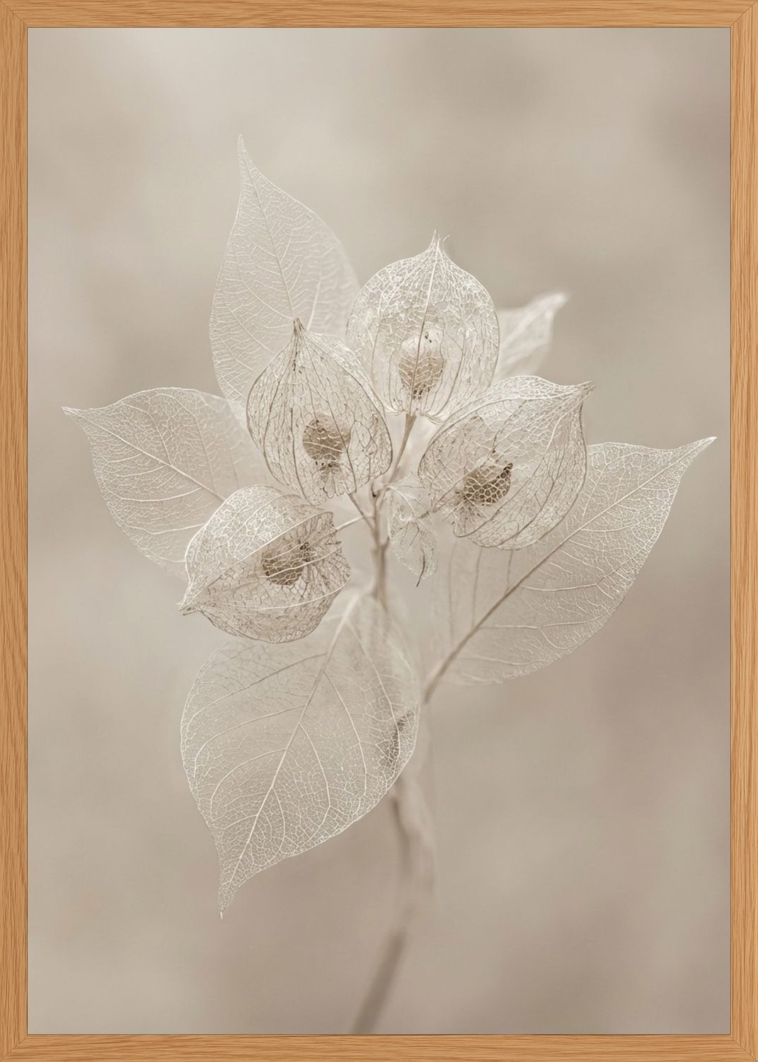 Poster in oak frame