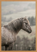 Poster print file