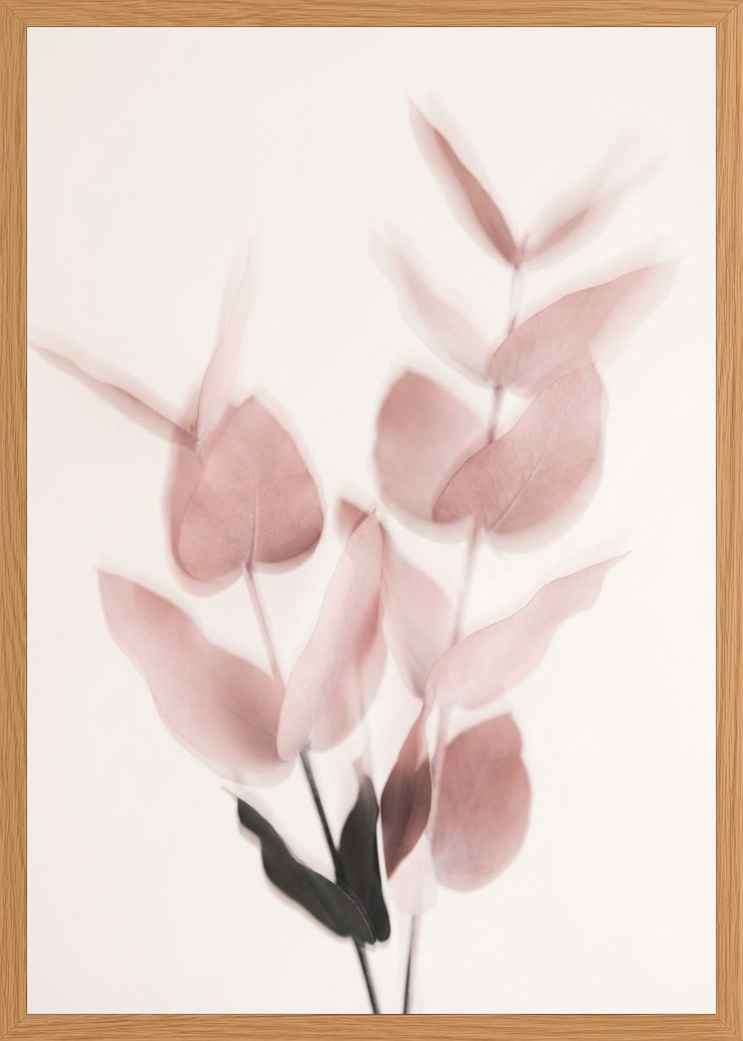 Poster in oak frame