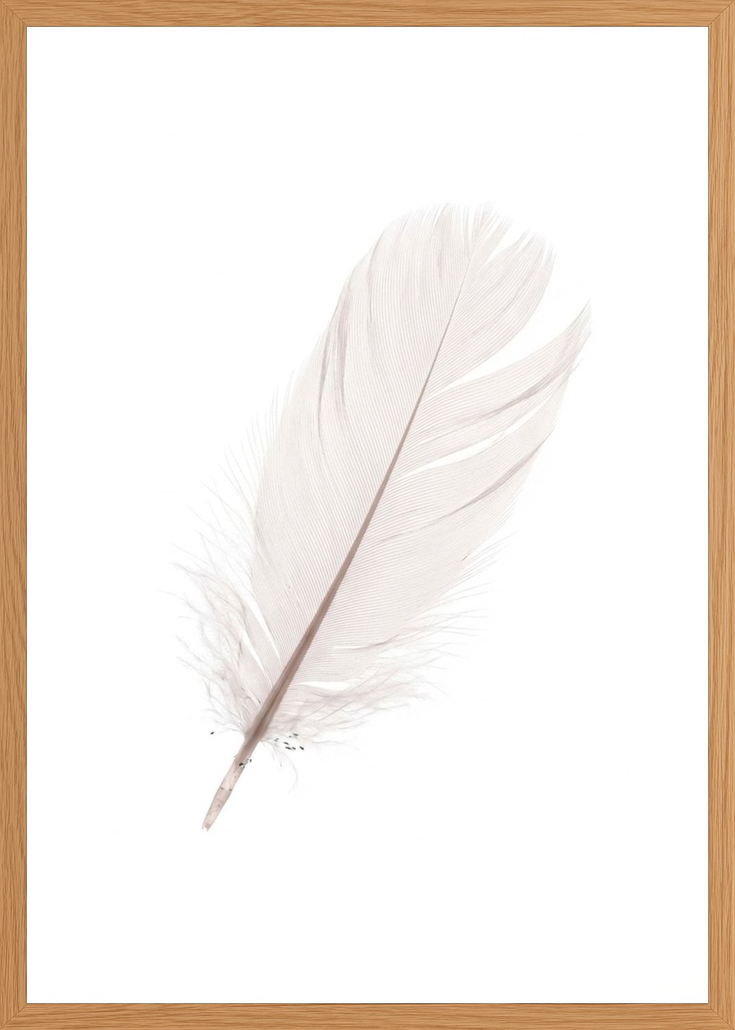 Poster in oak frame