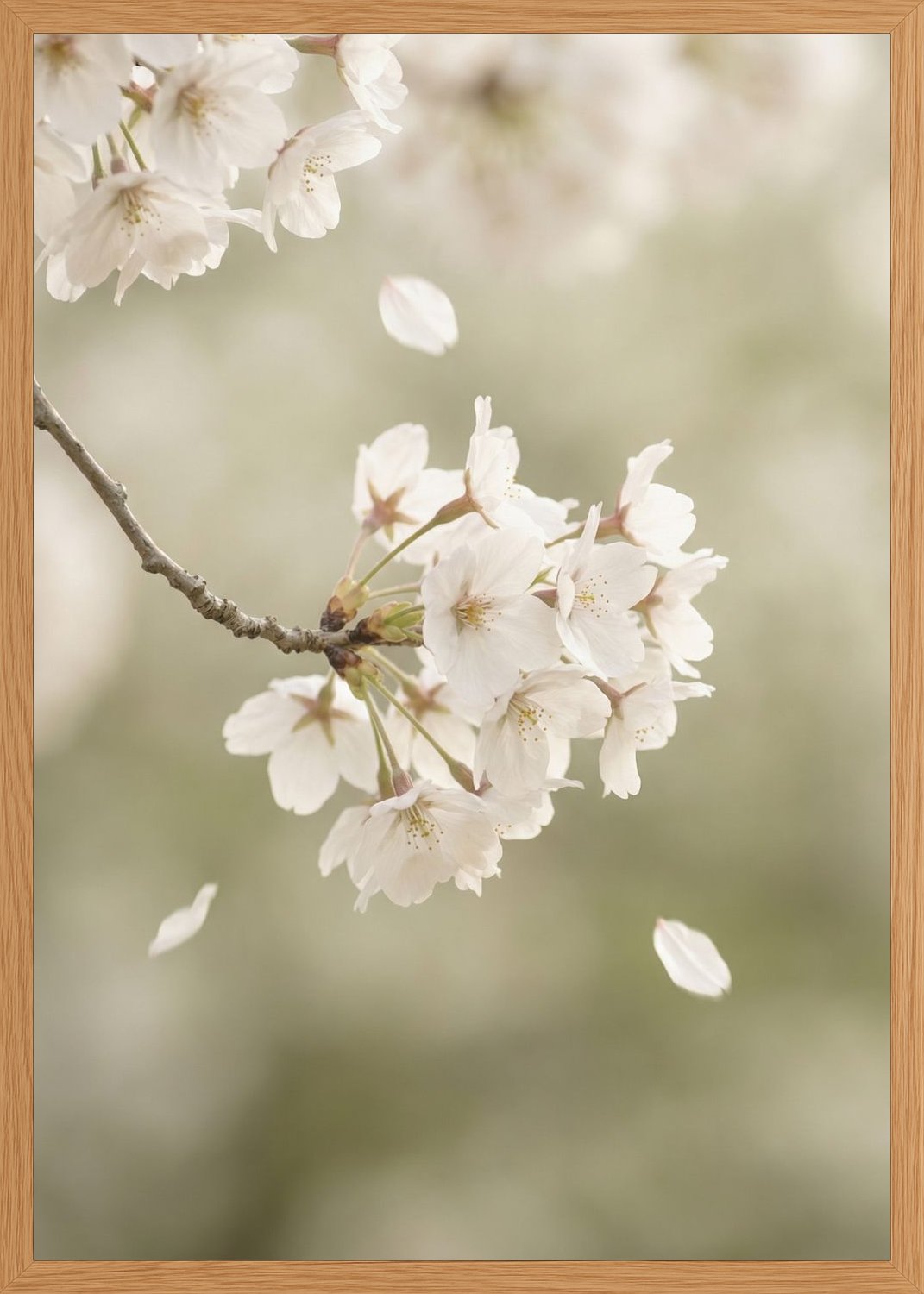 Poster print file