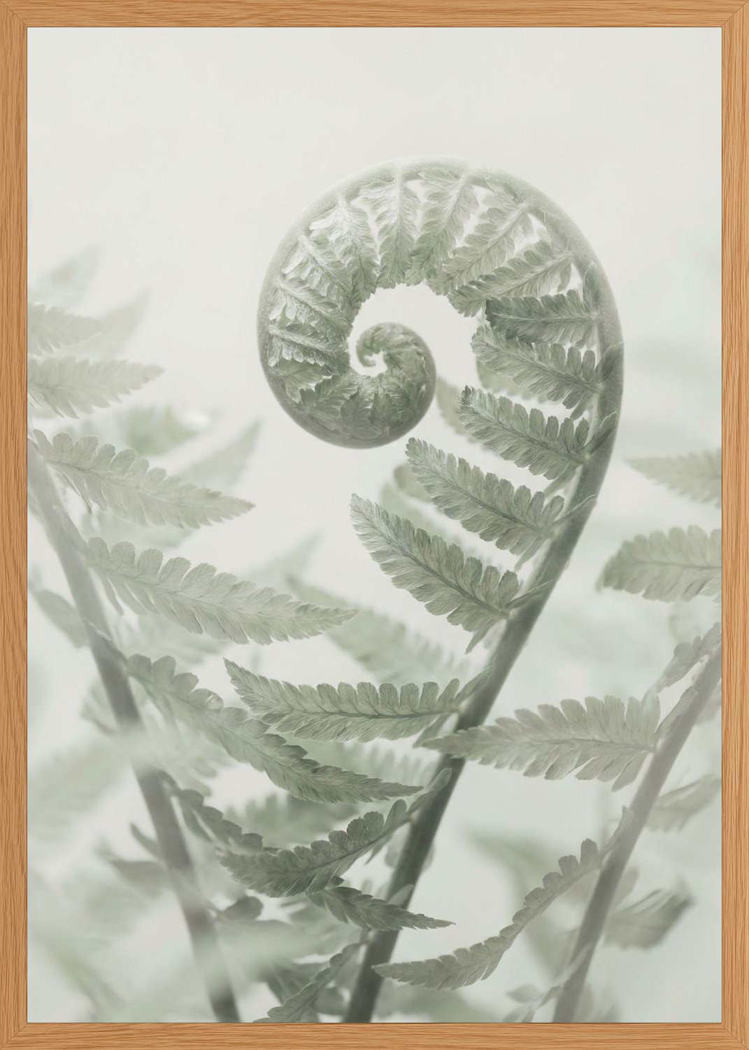Poster print file