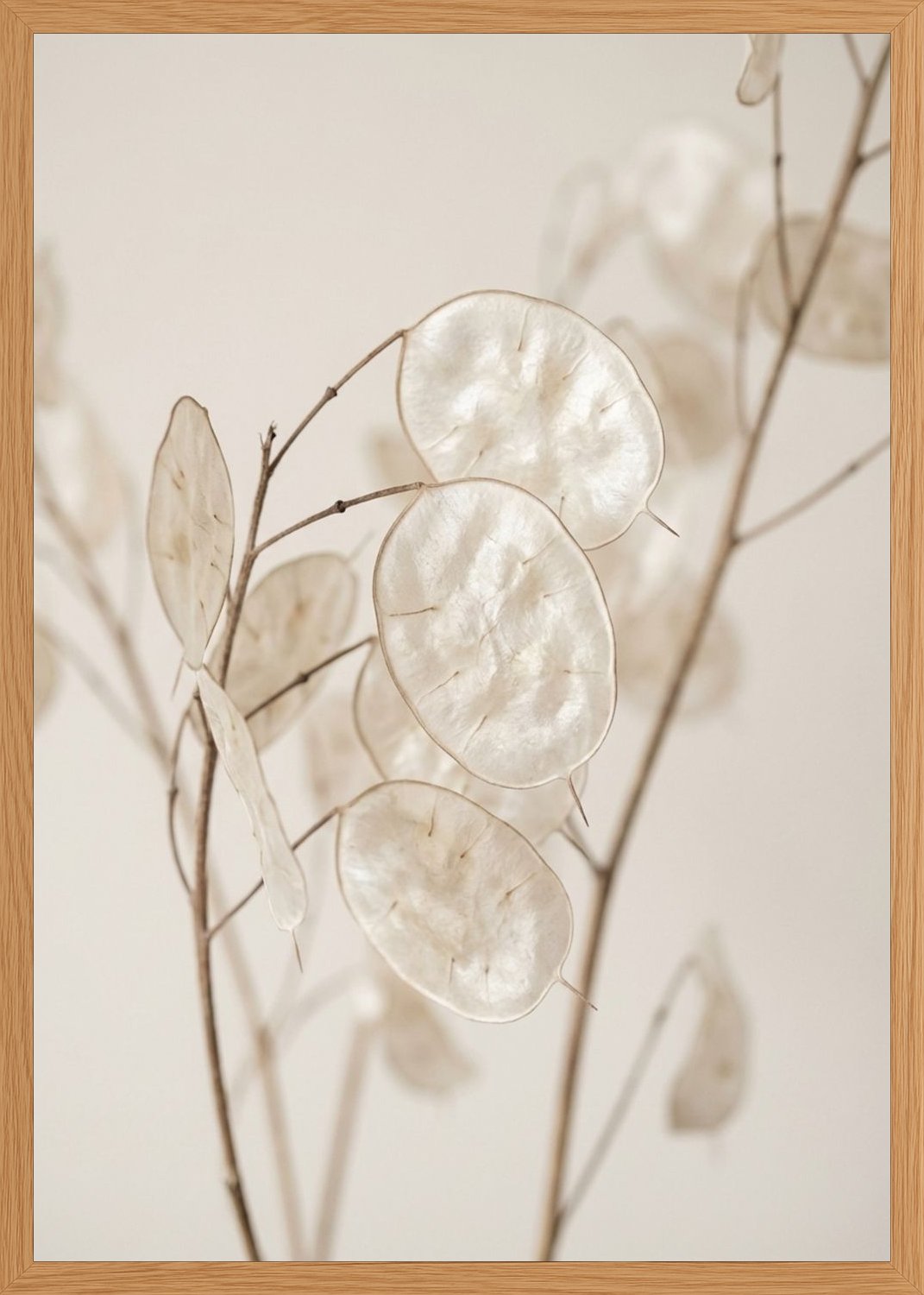 Poster in oak frame
