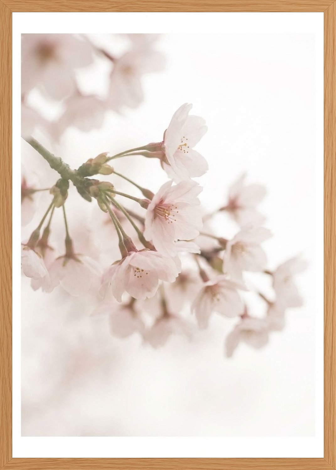 Poster in oak frame