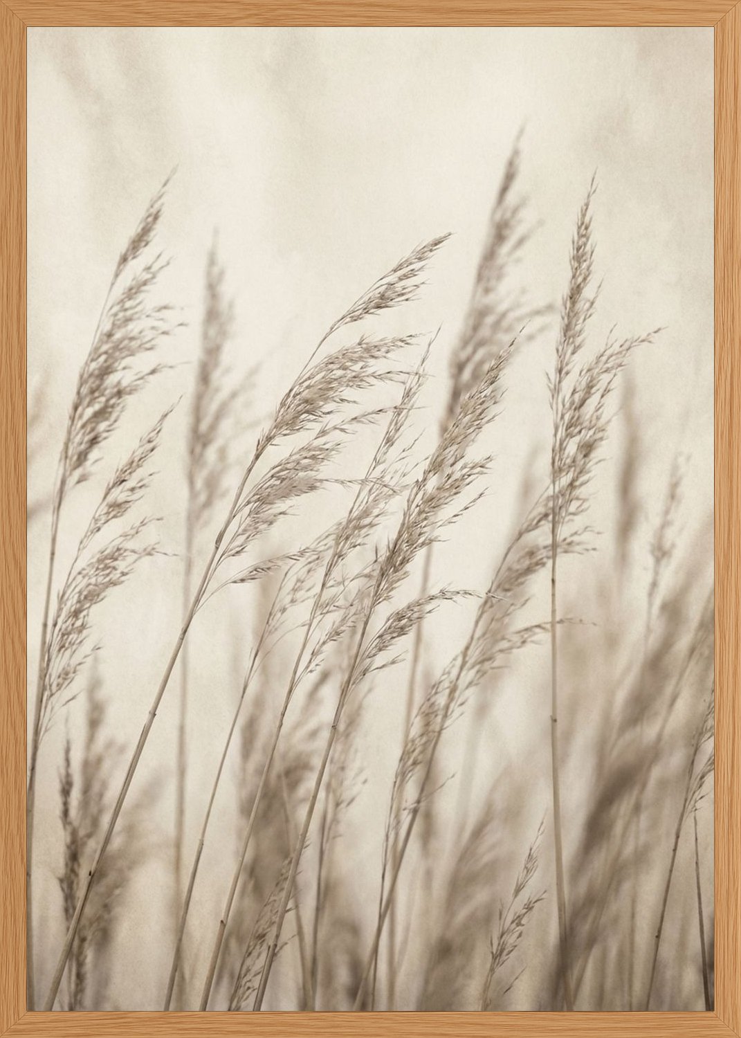 Poster in oak frame