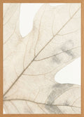 Poster in oak frame