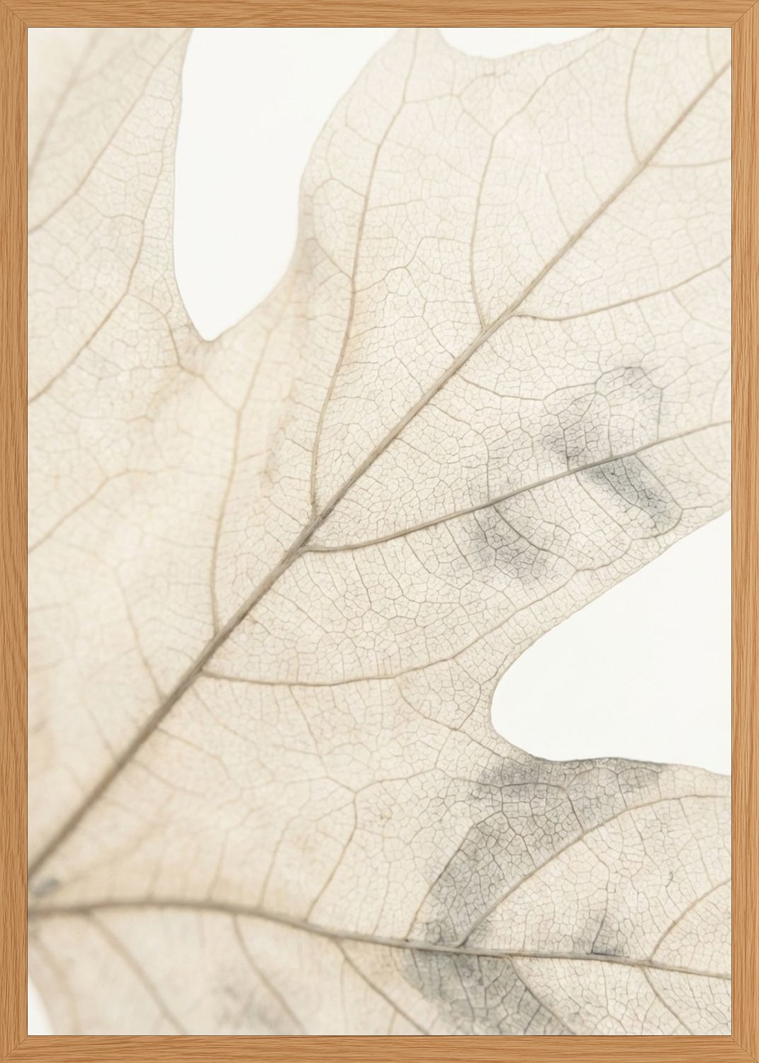 Poster in oak frame