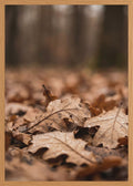 Poster in oak frame