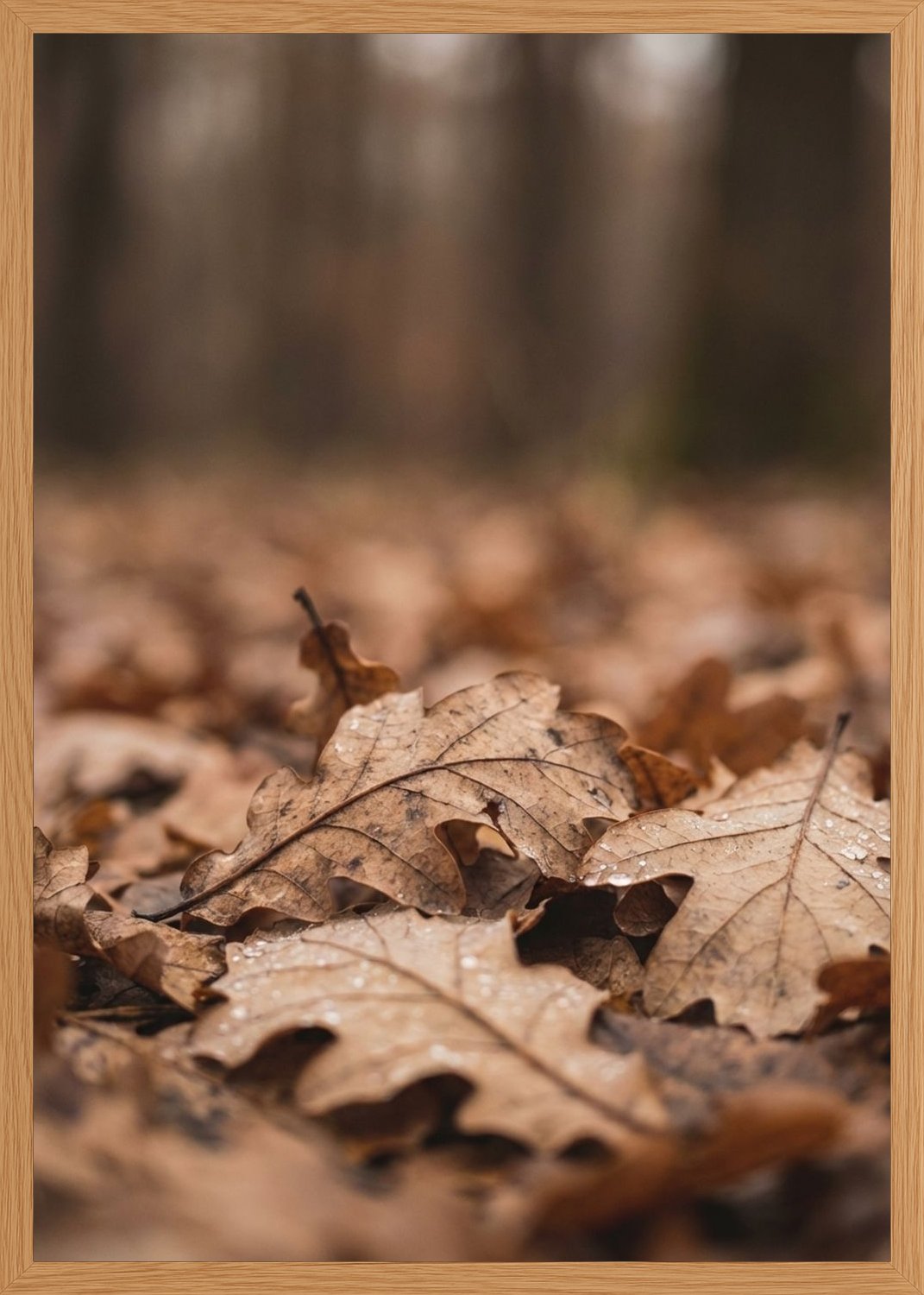 Poster in oak frame