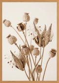 Poster in oak frame